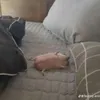 ahhellnah__66