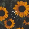 jadou_938