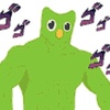 green.owl2