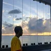 ari15z