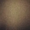 tranvansy1997