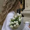 watinbsbpg2