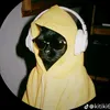 seth_160150