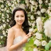 nguyen_ha_viet_anh