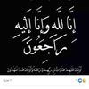 mahmoudhaleem159