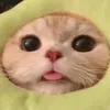 me__666__