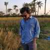 al_am_in701