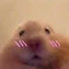 soy_maily0