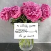 user2260110684578