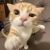 _tramanh2610