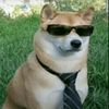 perrofachaxd8