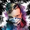 dozenofficial