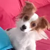 reginadasilvaeroberto