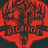 bigcountry2829