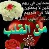 user245815456