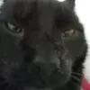 drxgydxnxt