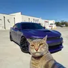 dreamzz700
