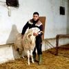 hamodaannaba23