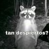 tan_despiertos_