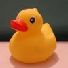 rducky20