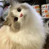 fran5wa.lalala