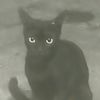 theblackpanther1309