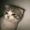 sevikayaa