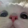 r__ch2