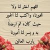fatimahalharbi06