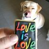 thewholewoohoo