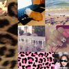 panther_tequila