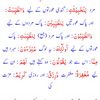 user241329044