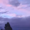 fox_indig13