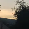 tiicilicii