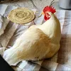 vanillapeepeep