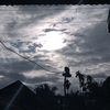 zaa_snakehead