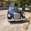 lacini41