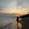 zeniatot