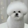 jamesgamer_cool