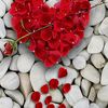 user3818859572584