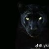 hasan__96