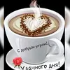 shafigajafarov