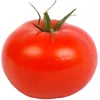 luluzitomate