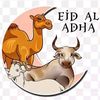 eelhaa3