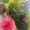 periwinkleflowerbed