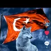kral_pubg56