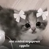papo4kapenni