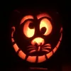 ooevboo