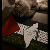 jasmine_fakhry