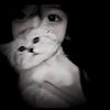 artististorii123